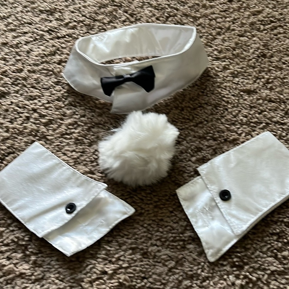 Playboy bunny, four piece accessory set